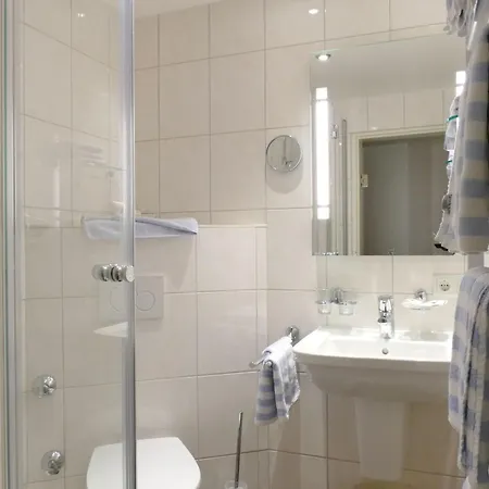 Altstadt-hotel Zum Hechten Hotel 3*