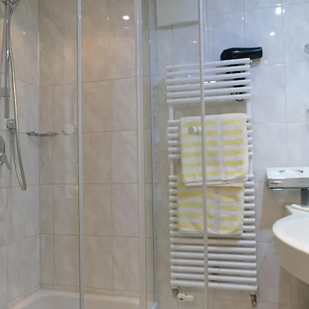 Altstadt-hotel Zum Hechten 3*