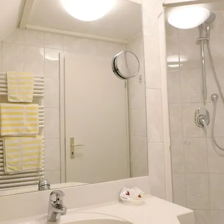 Hotel Altstadt-hotel Zum Hechten 3*