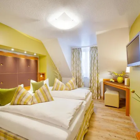 Altstadt-hotel Zum Hechten Отель 3*