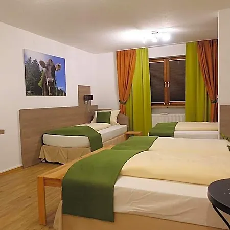فندق Altstadthotel 