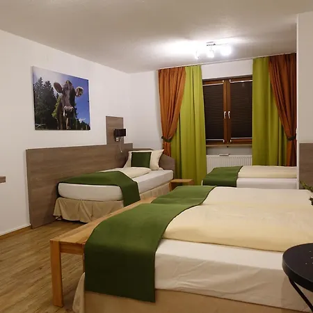 Altstadt-hotel Zum Hechten Fussen